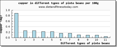 pinto beans copper per 100g